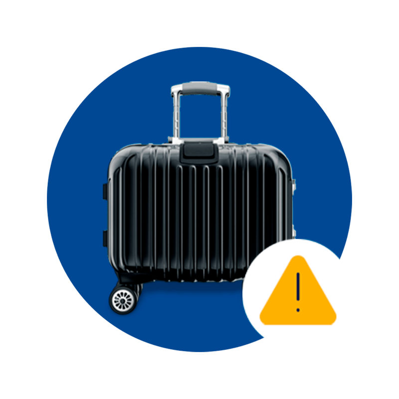 Aeromexico checked cheap baggage price