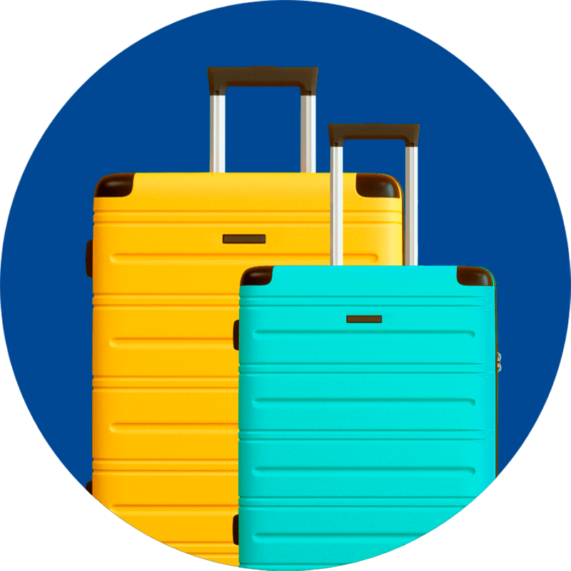 Aeromexico baggage cost online