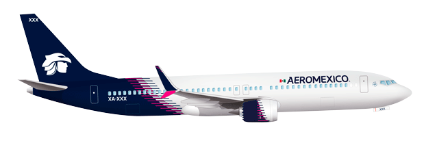 アエロメヒコ航空 737-700 N788XA 1/400 - メルカリ